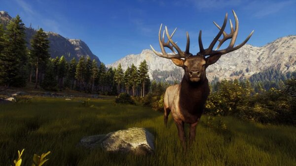 V The Elder Scrolls: Castles budete mít na starost svůj hrad a dynastii