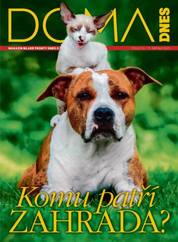 Obálka e-magazínu Doma DNES 11.8.2021