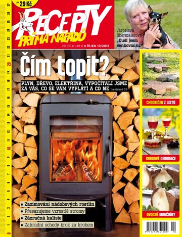 Obálka e-magazínu Recepty prima nápadů 10/2015