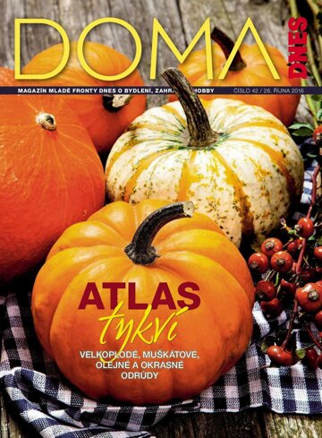 Obálka e-magazínu Doma DNES 26.10.2016