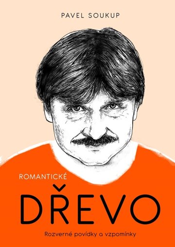 Obálka knihy Romantické dřevo