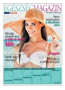 Obálka e-magazínu Új Szó príloha 5/8/2014