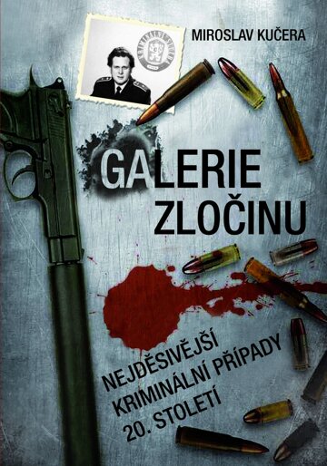 Obálka knihy Případ Hojer a další temné kauzy 20. století