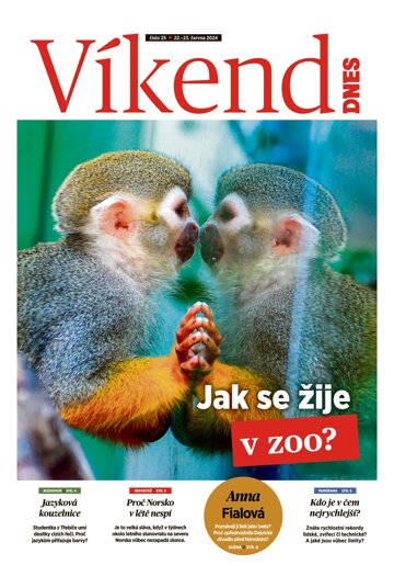 Obálka e-magazínu Víkend DNES Vysočina - 22.6.2024