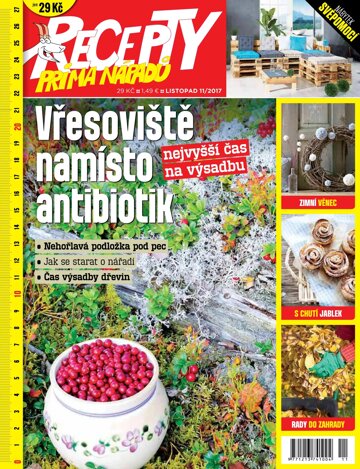 Obálka e-magazínu Recepty prima nápadů 11/2017