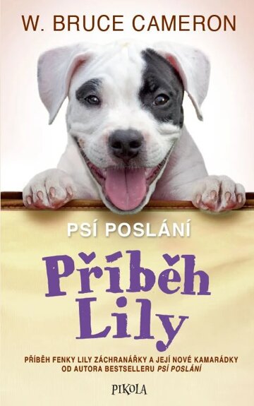 Obálka knihy Příběh Lily