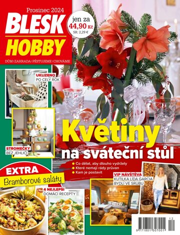 Obálka e-magazínu Blesk Hobby 12/2024