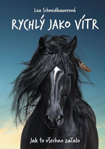 Obálka knihy Rychlý jako vítr: Jak to všechno začalo