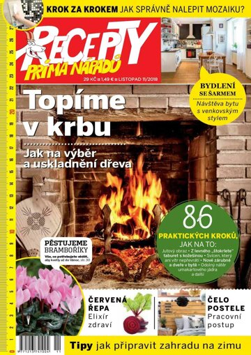 Obálka e-magazínu Recepty prima nápadů 11/2018