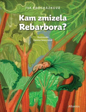 Obálka knihy Kam zmizela Rebarbora?