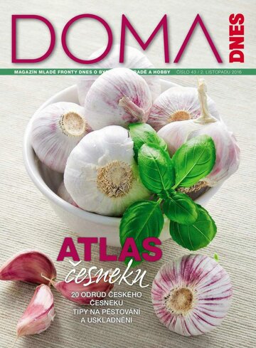 Obálka e-magazínu Doma DNES 2.11.2016