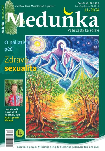 Obálka e-magazínu Meduňka 11/2024