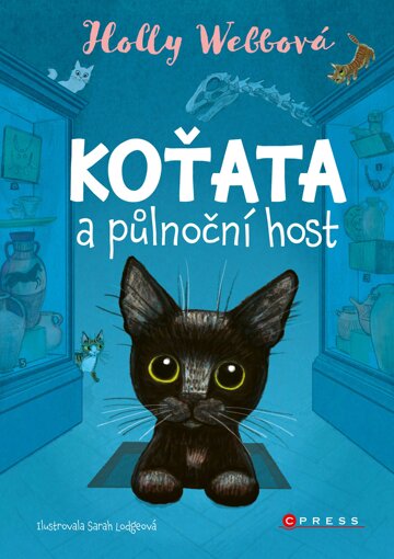 Obálka knihy Koťata a půlnoční host