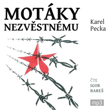 Obálka audioknihy Motáky nezvěstnému