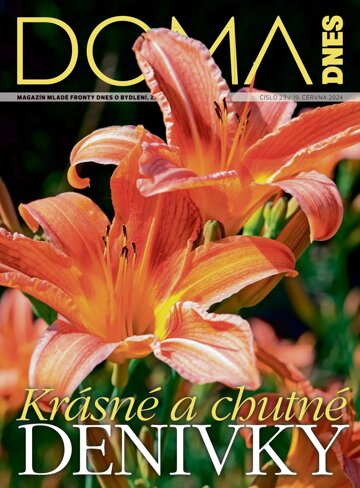 Obálka e-magazínu Doma DNES 19.6.2024