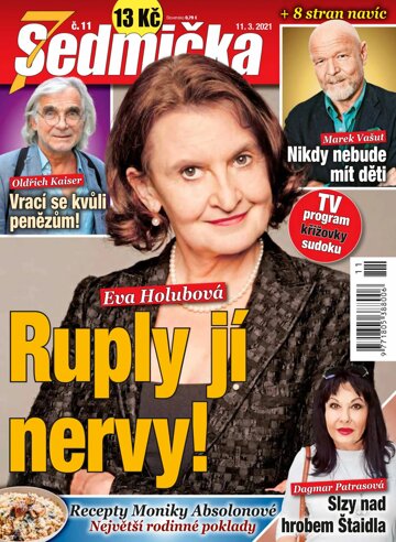 Obálka e-magazínu Sedmička 11/2021