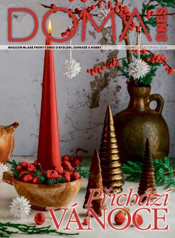 Obálka e-magazínu Doma DNES 27.11.2024