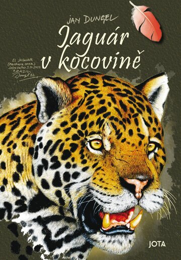 Obálka knihy Jaguár v kocovině