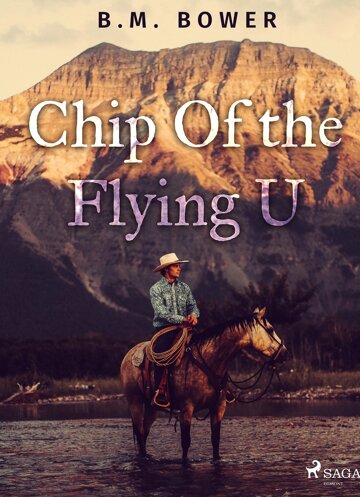 Obálka knihy Chip Of the Flying U