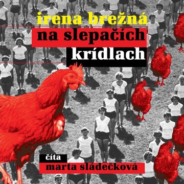 Obálka audioknihy Na slepačích krídlach