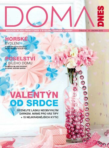 Obálka e-magazínu Doma DNES Magzín - 11.2.2015