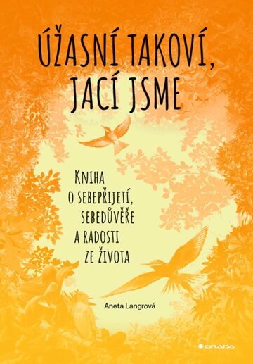 Obálka knihy Úžasní takoví, jací jsme