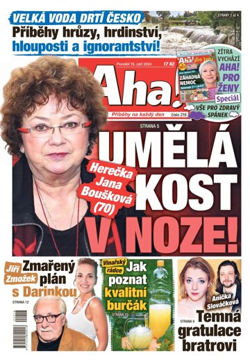 Obálka e-magazínu AHA! 16.9.2024