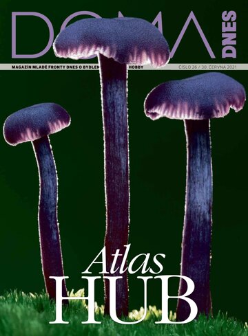 Obálka e-magazínu Doma DNES 30.6.2021