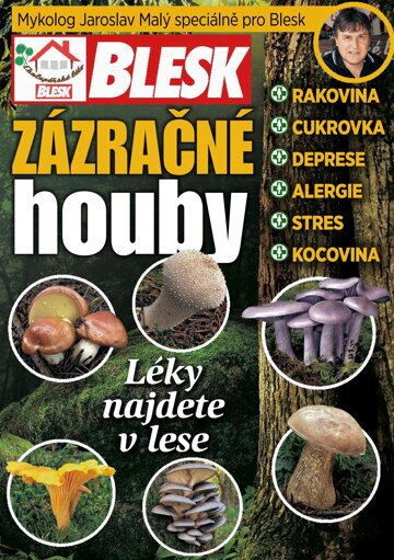 Obálka e-magazínu Blesk Zázračné houby - 7.8.2015