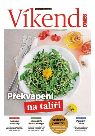 Obálka e-magazínu Víkend DNES Jižní Čechy - 8.3.2025