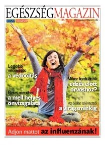 Obálka e-magazínu Új Szó príloha 4/11/2014