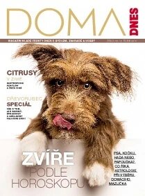 Obálka e-magazínu Doma DNES Magazín Jižní Čechy, Plzeňský, Karlovarský - 8.10.2014