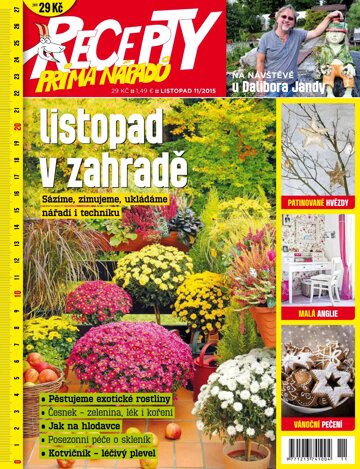 Obálka e-magazínu Recepty prima nápadů 11/2015