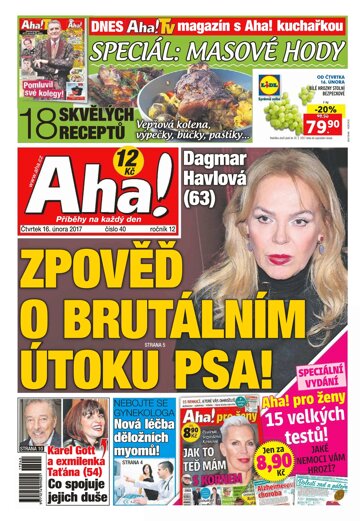 Obálka e-magazínu AHA! 16.2.2017