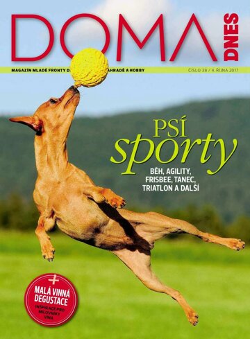 Obálka e-magazínu Doma DNES 4.10.2017