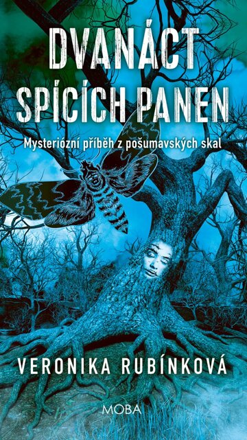 Obálka knihy Dvanáct spících panen