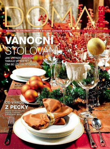 Obálka e-magazínu Doma DNES Magazín - 17.12.2014