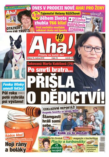 Obálka e-magazínu AHA! 15.1.2019