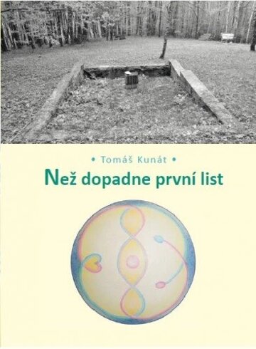 Obálka knihy Než dopadne první list