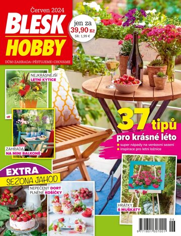 Obálka e-magazínu Blesk Hobby 6/2024