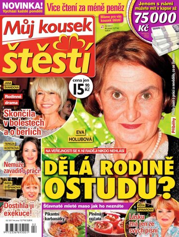 Obálka e-magazínu Můj kousek štěstí 2/17