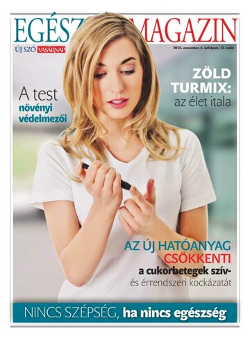 Obálka e-magazínu Új Szó príloha 3/11/2015