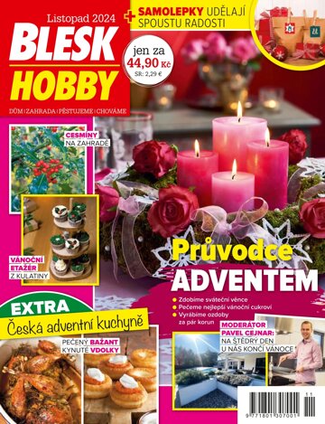 Obálka e-magazínu Blesk Hobby 11/2024