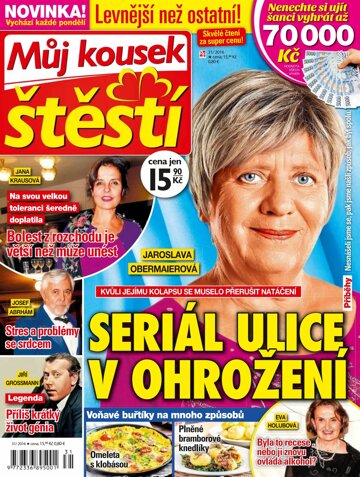 Obálka e-magazínu Můj kousek štěstí 31/16