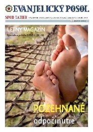 Obálka e-magazínu Letná príloha EPST č.29-30/2014