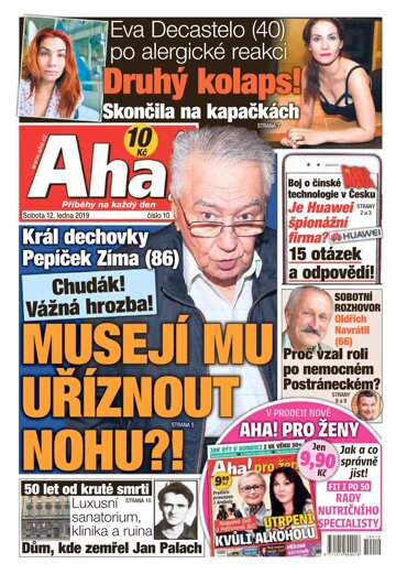 Obálka e-magazínu AHA! 12.1.2019