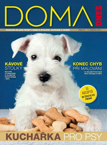 Obálka e-magazínu Doma DNES Magazín - 4.2.2015