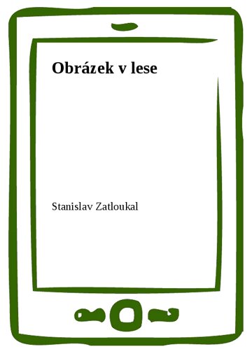 Obálka knihy Obrázek v lese