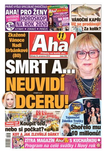 Obálka e-magazínu AHA! 18.12.2019