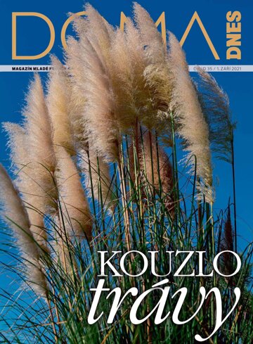 Obálka e-magazínu Doma DNES 1.9.2021